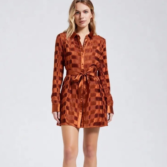 Rust Satin Pleated Shirt Dress (Missing Belt) - Picture 1 of 11